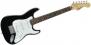 Squier�ˎ��ڎ����ގ�����MINI