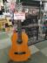 Х󥷥 饷å Valencia  VC204 NAT